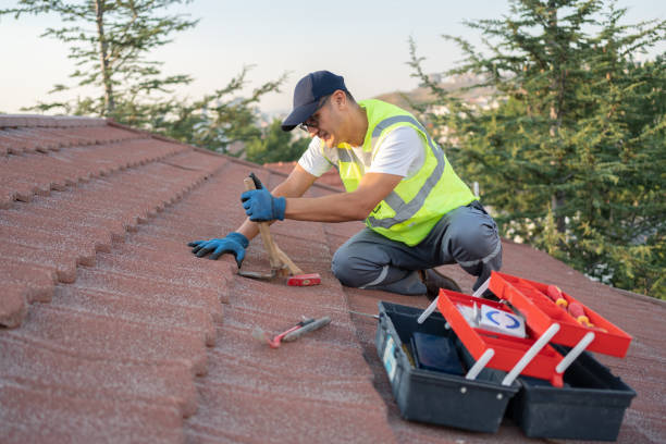 Best New Roof Installation  in Escanaba, MI