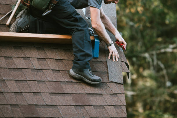 Best Shingle Roofing Installation  in Escanaba, MI